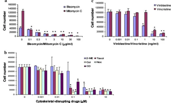 Fig. 2 Effect of bleomycin, mitomycin C, and  cytoskeletal-disrupting drugs on BME cell growth