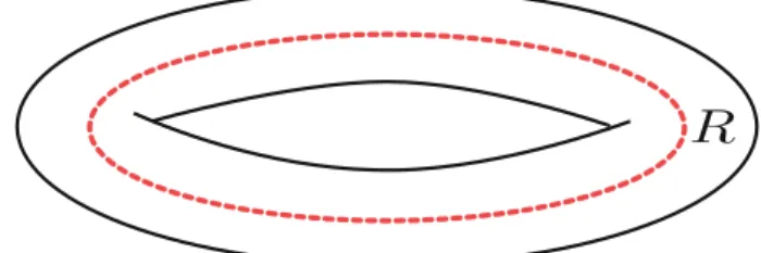 Figure 1. The path integral over a solid torus with the inser- inser-tion of the Wilson line in representainser-tion R gives the wave function deﬁned in (2.10)