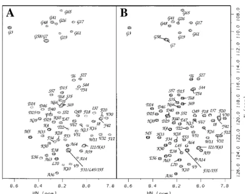 Figure 1. 1 H- 15 N HSQC spectra (Kay, 1995) for fresh 1 mM samples of (A) acid-denatured (pH 2.0), and (B) acid/urea-denatured (pH 2.7, 6M urea) CspA at 20 ◦ C