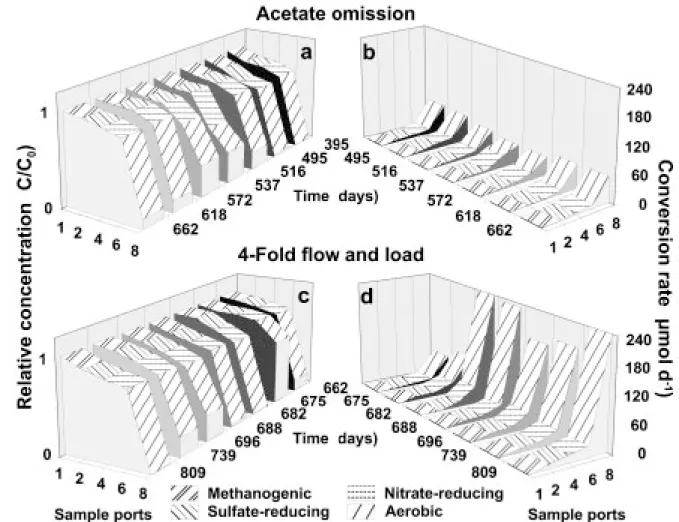 Figure 2. Transformation of NAP in the SSCS after acetate omission (a and b) and four fold increase of flow and load (c and d)