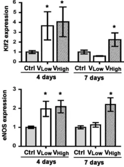 Fig. 7 Vascular enlargement causes increased flow. Total RNA was extracted from TA and GC muscles harvested 4 and 7 days after implantation with control cells (Ctrl), V Low and V High myoblast clones