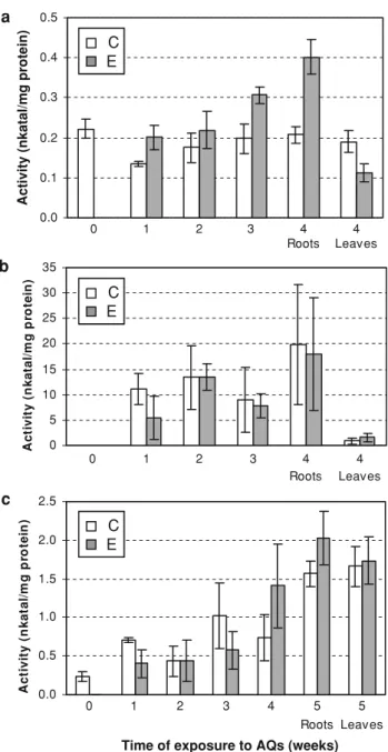 Fig. 8 Specific activity of peroxidases in rhubarb (a), maize (b) and celery (c). Average and standard deviations of six replicates are shown for peroxidases activity (nanokatal per milligram of protein) in control plants (C) and in plants exposed to sulph