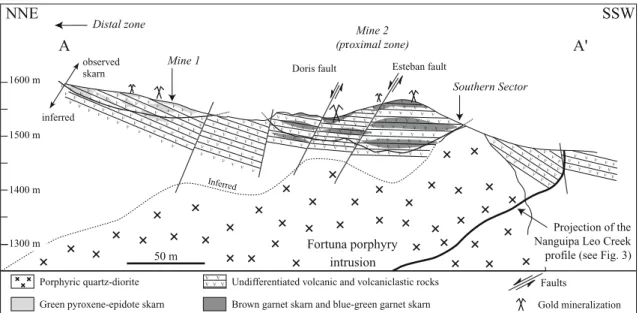 Fig. 4 Schematic cross-section of the Fortuna mine from Mine 1 to the Southern Sector, illustrating the close spatial relationship of the skarn and the Fortuna quartz–diorite porphyritic intrusion