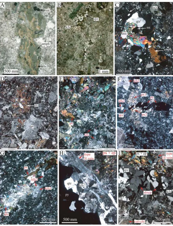 Fig. 6 Photomicrographs of rock alteration and veins at Fortuna.