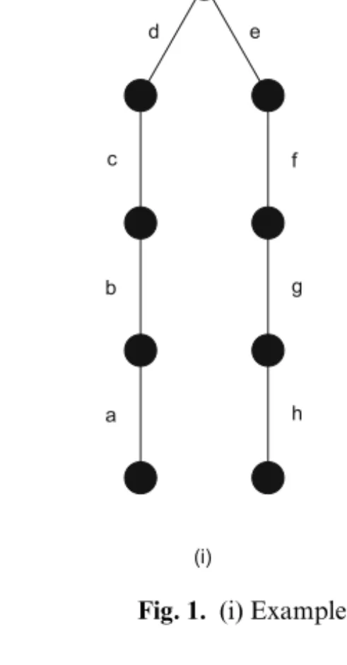 Fig. 1. (i) Example 1. (ii) Example 2.