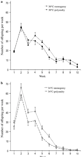 Fig. 3 Number of offspring produced per week a at standard (30°C) or b at elevated (34°C) temperature (monogamous females n = 30, polyandrous females (6 or 12 mates) n = 60; error bars represent 1 SE)