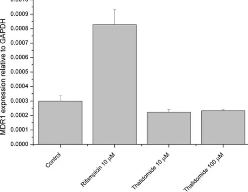 Fig. 1 Expression of MDR1 in LS180 cells. Cells were incubated for 72 h. Rifampicin served as a positive control for MDR1 induction