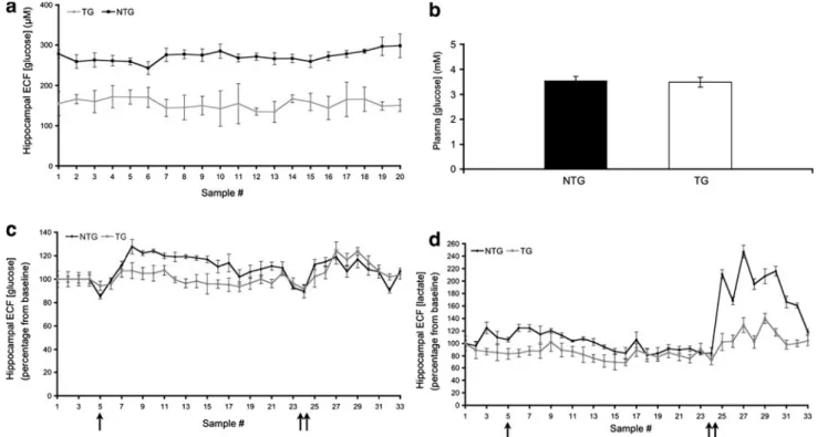 Fig. 2 Blood-to-brain glucose uptake and astrocytic lactate release upon neuronal stimulation are impaired in TG arcAb mouse brain starting at mid-stage pathology