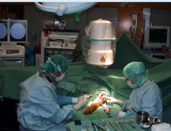 Abb. 1  8  Anteil endovaskulärer Verfahren bei offenen Eingriffen im Bereich  Gefäße der unteren Extremitäten, Aorta und aortoiliakale Gefäßachse im  Jahre 2006 an der Klinik und Poliklinik für Herz- und Gefäßchirurgie am  In-selspital Bern
