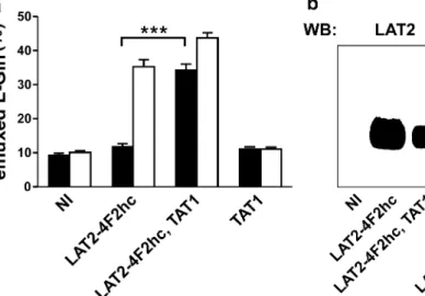 Fig. 3 Coexpression of TAT1 and LAT2-4F2hc in Xenopus oocytes induces efflux of L -Gln and other neutral amino acids