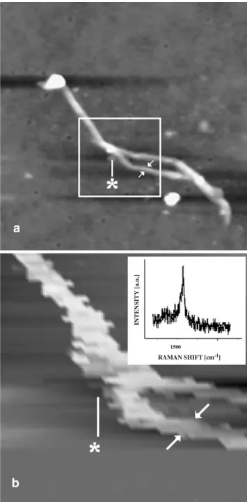 Fig. 2 a Topographic image (750×750 nm). b Tip-enhanced Raman image showing the intensity of the G band at 1596 cm −1 (50×50 pixels;