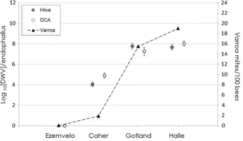 Figure 1. Comparison of DWV titres and Varroa infestation levels in Ezemvelo, Caher, Gotland and Halle.