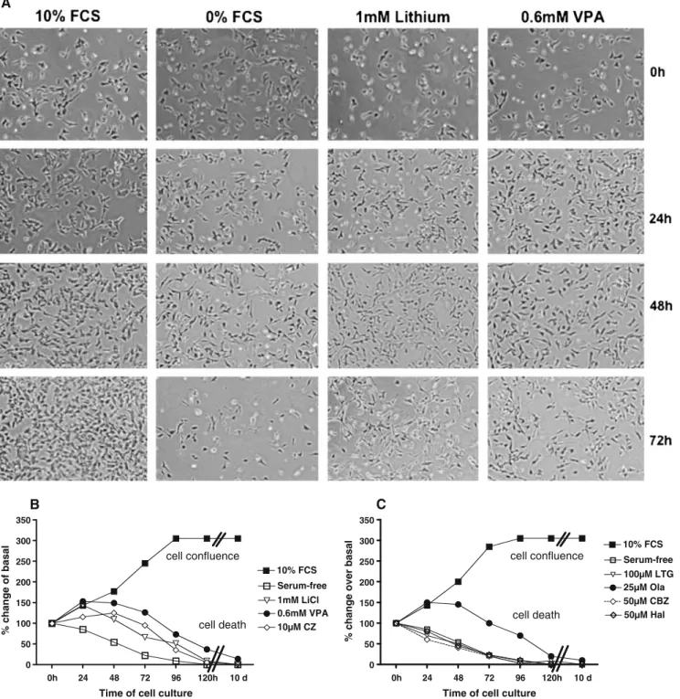 Fig. 3 The neuroprotective effect of mood stabilizers against serum withdrawal-induced cell death