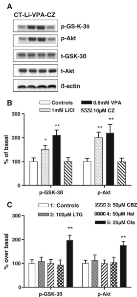 Fig. 4 Effect of mood stabilizer drugs on phosphorylation of 473 S- S-Akt-1 and 9 S-GSK-3 β 