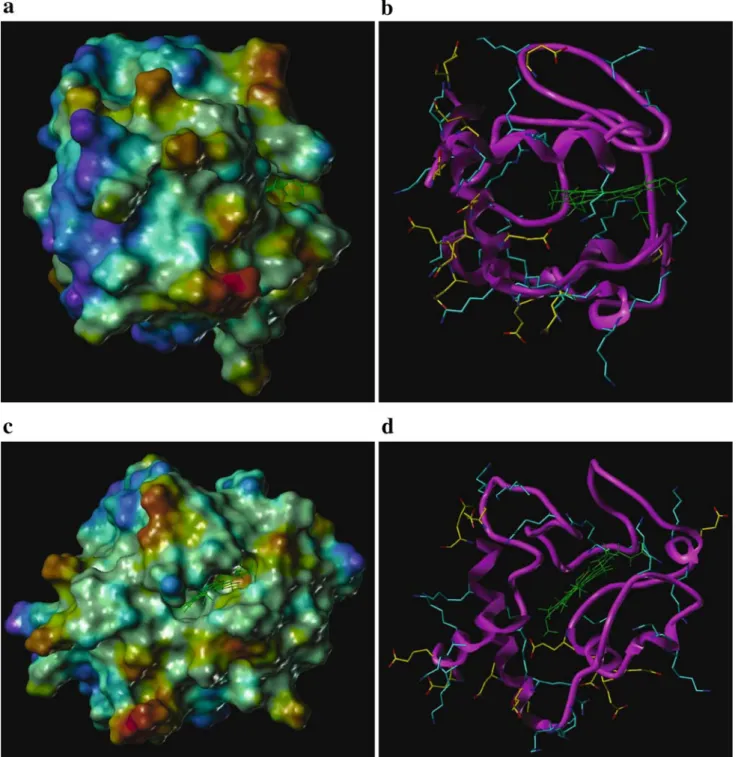 Fig. 1. Three-dimensional structure of horse heart Cytochrome c (Cyt c; 12.4 kDa, +9 at pH 8.2); the compact globular structure of the protein is readily discernable (the heme group is shown in green)