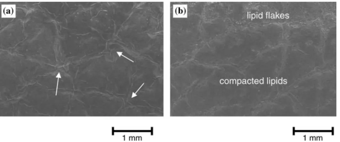 Fig. 6 Influence of sliding velocity on the dynamic COF after 100 friction cycles. Tests (n = 5) were carried out with a normal load of 2 N