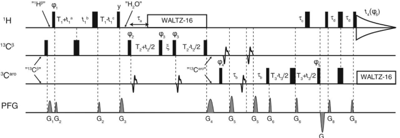 Fig. 2 Pulse sequence of the 4D APSY-HBCB(CG)CDHD experi- experi-ment. The carrier frequency for protons during the first INEPT element was set in the b-proton region at 2.85 ppm, indicated on the line 1 H by ‘‘ 1 H b ’’; at the position ‘‘H 2 O’’ the carr
