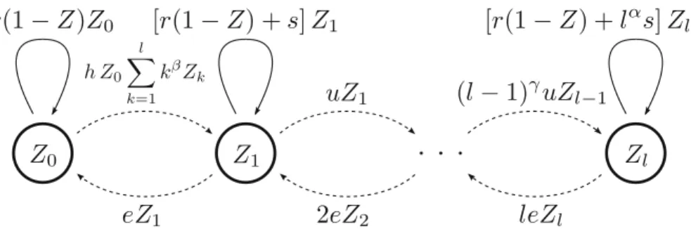 Fig. 1 Model design. Z k = D k / K is the normalized density of cells with k ∈ { 0 , 