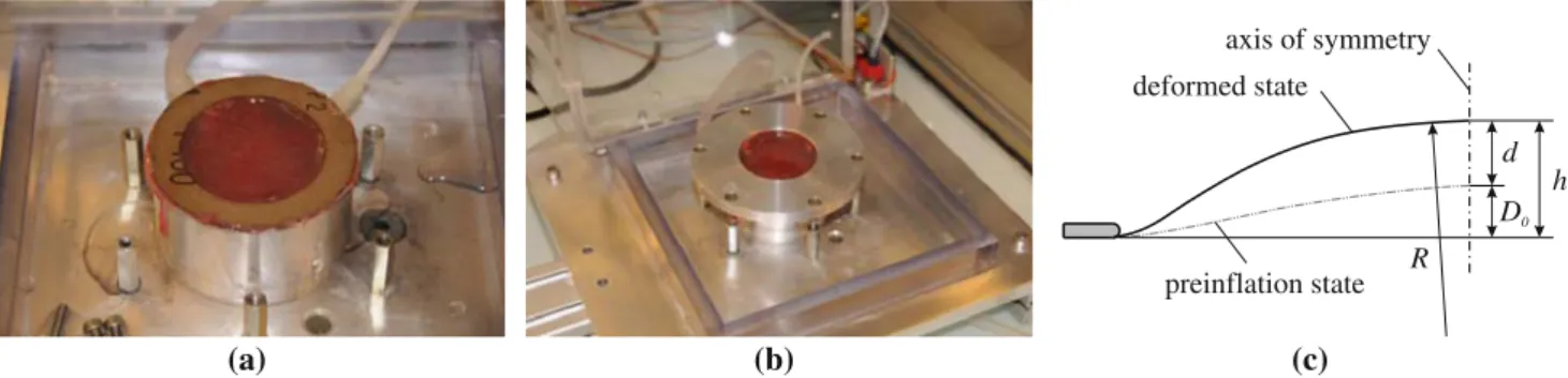 Fig. 2 a Sandpaper rings are glued on both side of the FM sample to stabilize the sample during handling and to improve soft tissue gripping.
