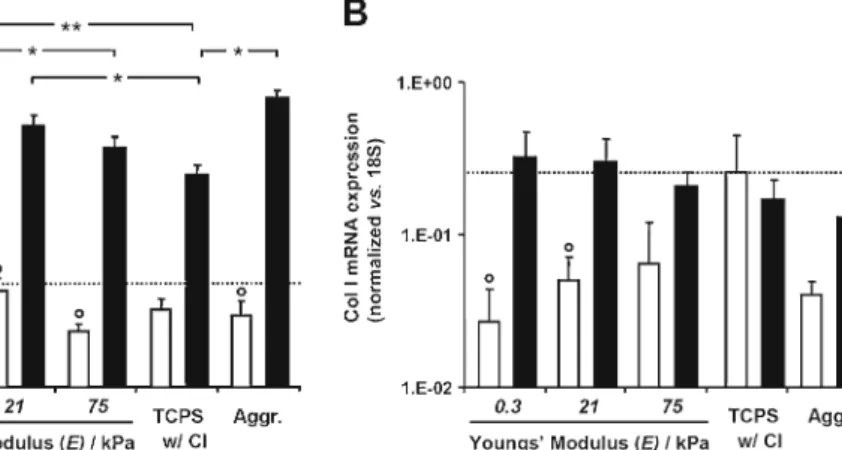 Fig. 6 Type II (A) and I (B) collagen mRNA expression levels of EDD HAC after 7 days of culture in chondrogenic medium without (white bars) or with (black bars) TGF- β 1 on the corresponding substrate: