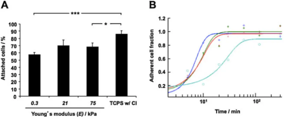 Fig. 3 Proliferation (total doublings) of EDD HAC after 7 days of chondrogenic culture on the corresponding substrate: 0.3 kPa (soft), 21 kPa (intermediately stiff), and 75 kPa (stiff)