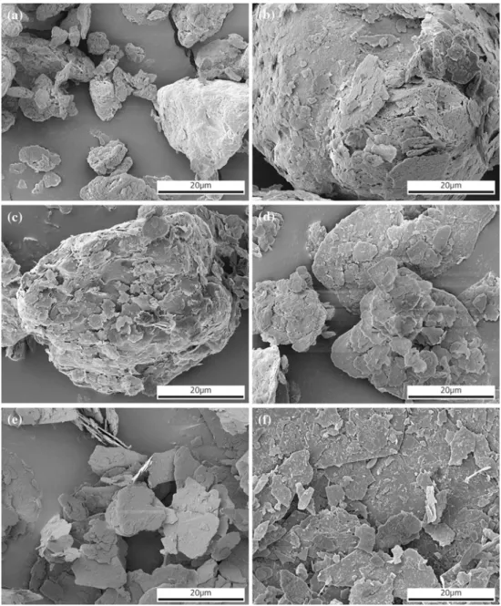 Fig. 3 SEM images of as-received clay and mica powders. a montmorillonite EXM1246, b kaolin Barrisurf HX, c talc, d vermiculite grade 4, e mica PW30, f mica R120