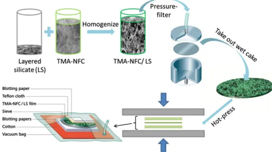 Figure 6 shows SEM images of dried suspensions of TMA- TMA-NFC/LS (see Experimental section) typical for each group of layered silicates