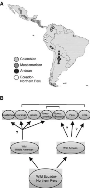 Figure 2. Distribution of wild P. vulgaris L. in Latin America.