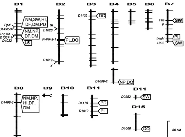 Figure 3. Chromosomal location of genes involved in the domestication syndrome in beans