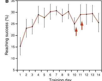 Fig. 2 Protein synthesis inhibition in bilateral dorsal striatum impairs the acquisition of a forelimb reaching skill in rat