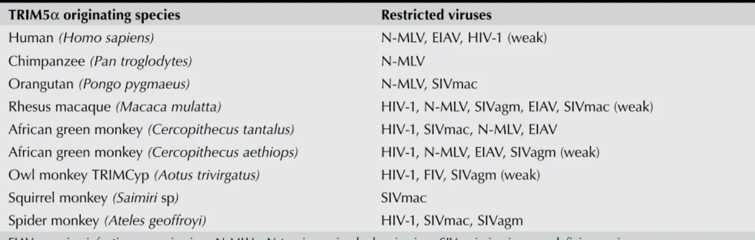 Table 1. Virus speciﬁcities of TRIM5B proteins from various primate species 