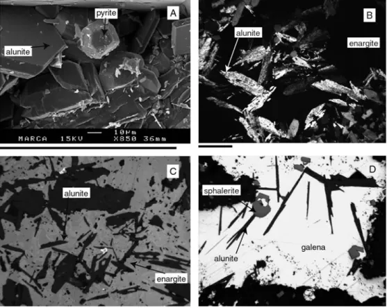 Fig. 3 North–south longitudinal section of the Colquijirca district following the main recognized ore bodies (ABCDEFG section in Fig