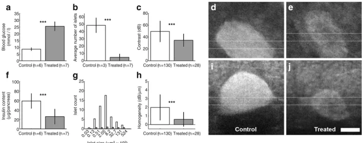 Fig. 5 Exposure of C57B6 mice to streptozotocin (grey bars) resulted in a marked increase in blood glucose levels (a) and in a parallel decrease in the insulin content of the pancreas (f) compared with the control group (white bars)