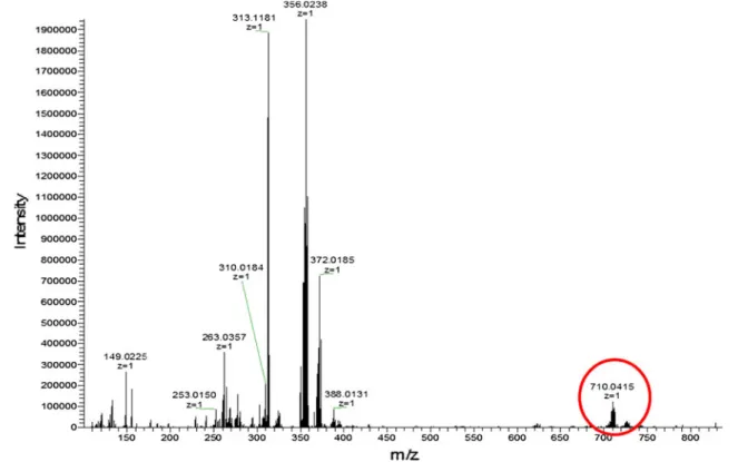 Fig. 9 Suggested [(p-cymene)Ru–cystine–Ru (p-cymene)] ? chelate complex obtained upon the addition of Cys to [1] 6?