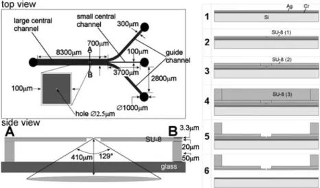 Fig. 1 Schematic view of the SU-8 chip. Left: Top—Top-view of the chip showing the three inlet channels (guide channels and small central channel) convening to form one large central channel