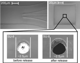 Fig. 3 Scanning electron microscope (SEM) image of the chip.