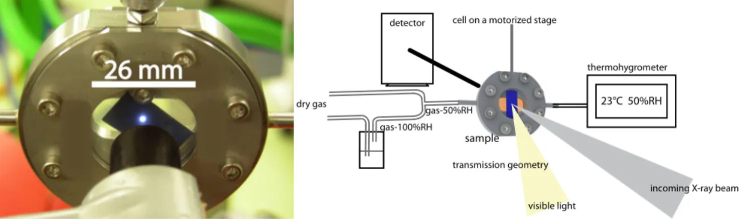 Fig. 1 Experimental setup to monitor in situ anoxia- and light-induced fading of Prussian blue