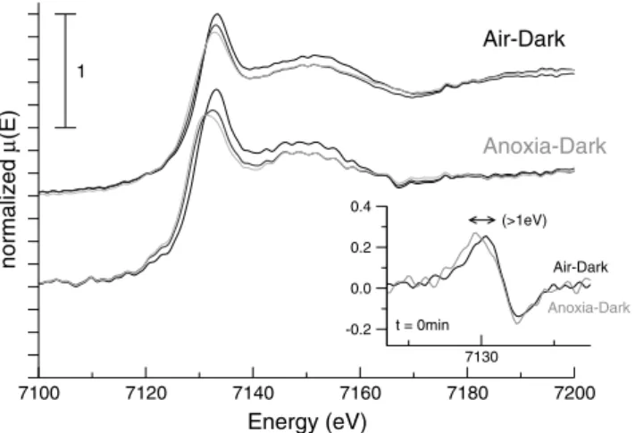 Fig. 4 XANES spectra for PB–Whatman samples in Air–Dark and Anoxia–Dark environments. Anoxia–Dark spectra were shifted in  in-tensity for more clarity