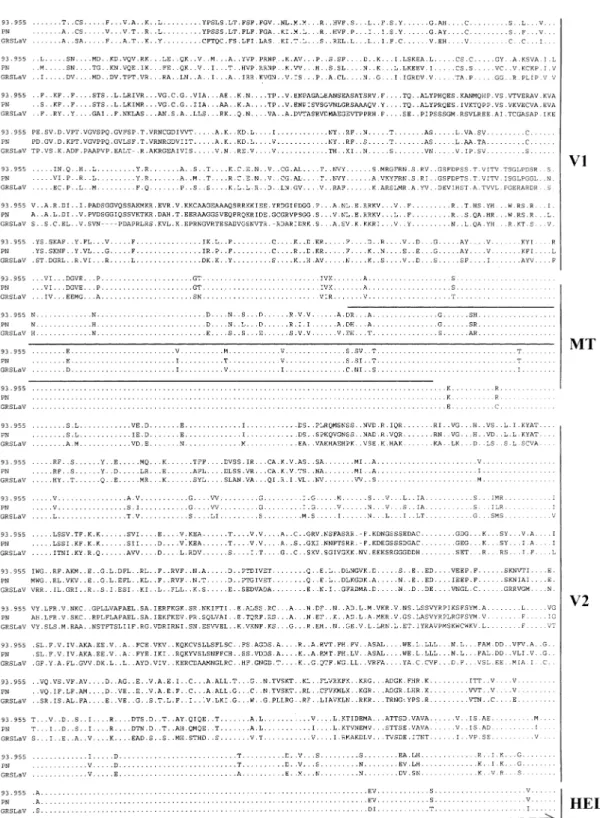 Fig. 4. Alignment of amino acid (aa) sequences of the polypeptides deduced from open reading frame (ORF) 1A of Grapevine leafroll- leafroll-associated virus 2 strains ‘‘PN’’ and ‘‘93/955’’ and Grapevine rootstock stem lesion-associated virus (GRSLaV)