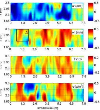 Fig. 5 Contour plots in a vertical plane of the turbulent components of the streamwise and vertical velocities, temperature, and water vapour concentration