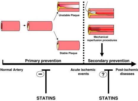 Fig. 1 Statin treatment reduces the risk of acute cardiovascular events. Several studies support that statins inhibit atherosclerotic plaque progression and the risk of rupture (primary prevention)