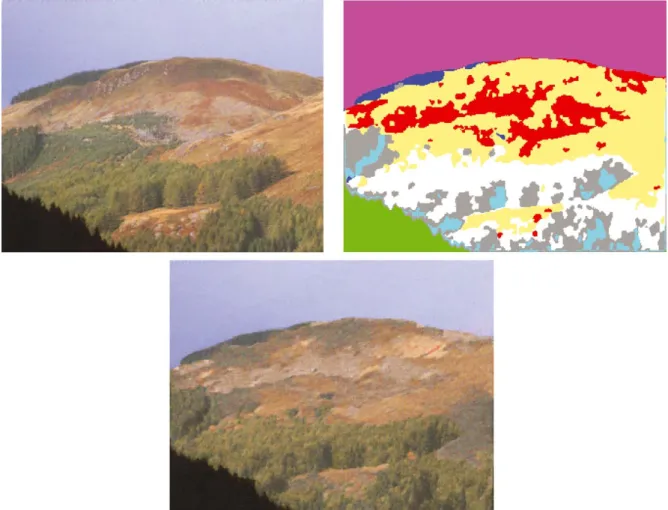 Figure 9. Real landscape (top left) and label map (top right); synthetic landscape when keeping this label map (bottom).