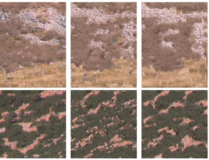 Figure 11. Landscape texture synthesis. Left: original images with three different subtextures for the top landscape and two subtextures for the bottom landscape; middle: results with the older, sequential approach, right: parallel composite texture synthe