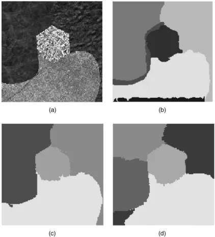 Figure 6. (a) original image (texture collage) and segmentations obtained: (b) with CP, larger regions, and no shifted matching; (c) using CP and shifted matching (smaller regions, mean shift optimization); and (d) using a version of Normalized Cuts along 