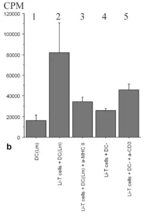 Fig. 5 Proliferative response of Listeria innocua-primed T cells after 3 weeks in culture (predominantly CD4+) exposed to autologous dendritic cells (DC) challenged with L