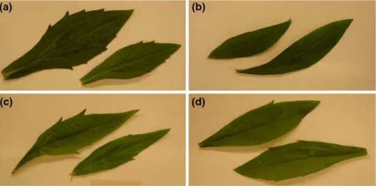 Fig. 2 Time estimates for 50%