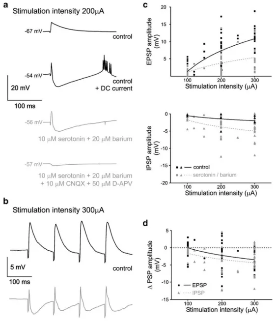 Fig. 7 INA increases the driving force for inhibitory inputs. a Activation of synaptic input by extracellular stimulation in layer 2 (400 μ s duration, 200 μ A amplitude, 10 trials averaged; uppermost trace)