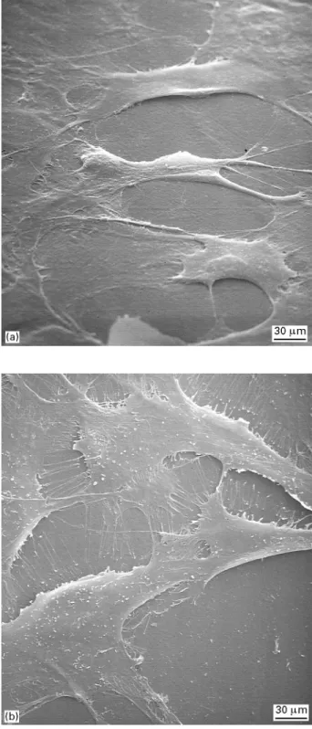 Figure 4 Cell vitality on untreated and plasma-treated (10 min) PEEK surfaces (n " 6)