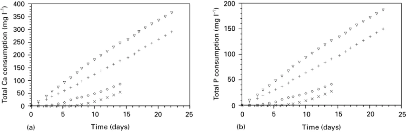 Figure 8 Influence of plasma activation and subsequent nucleation on the total Ca (a) and P (b) consumption for coating formation on polished surfaces