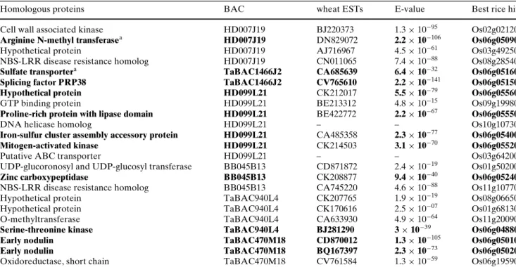 Table 5 A BLASTn analysis of the BAC clone sequences of wheat and Aegilops tauschii reveals the presence of a number of sequences with homology to wheat ESTs and rice genes